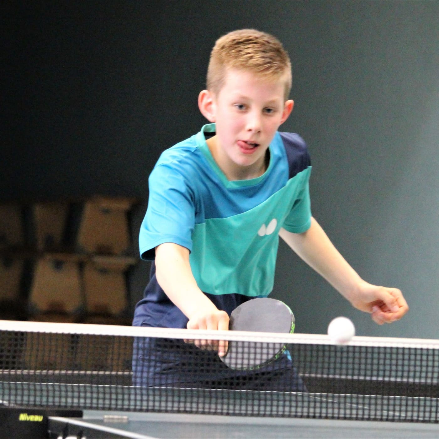 Bundeschampionat 2019