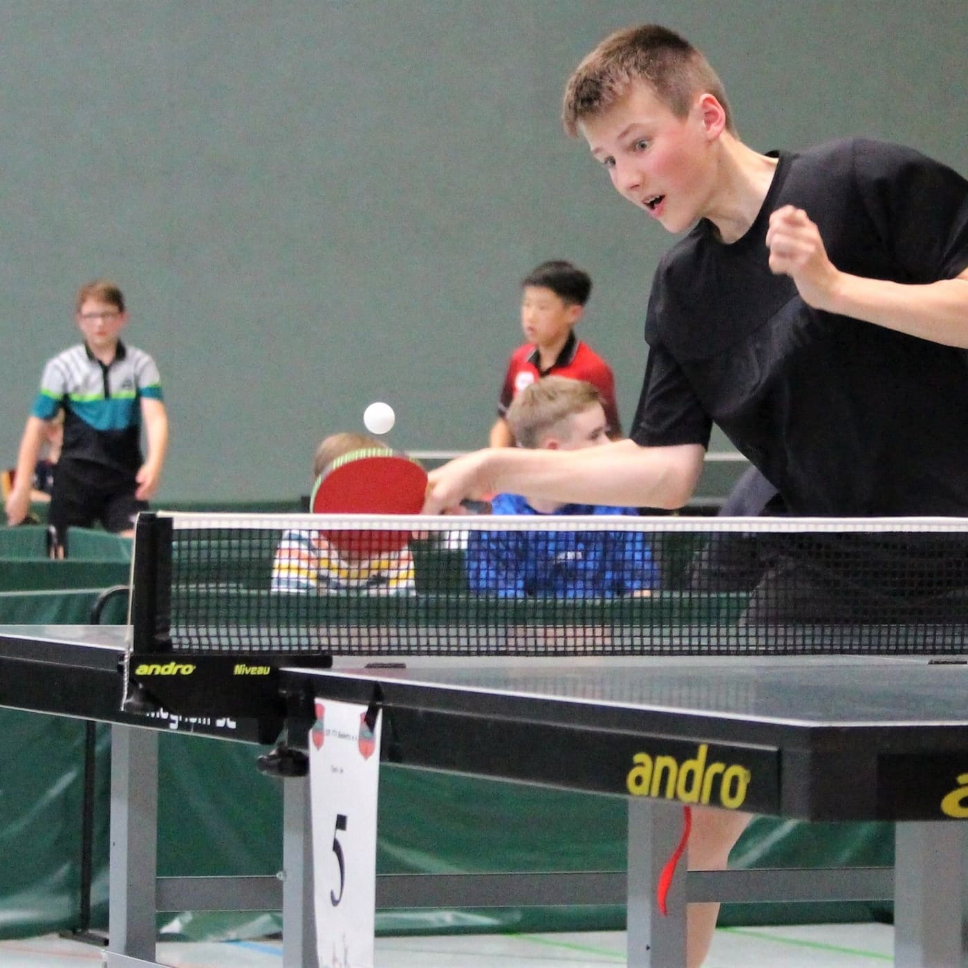 Bundeschampionat 2019